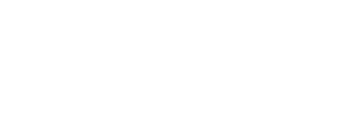 DigiCobweb Logo
